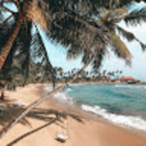 Meet your Posher, Alexandria